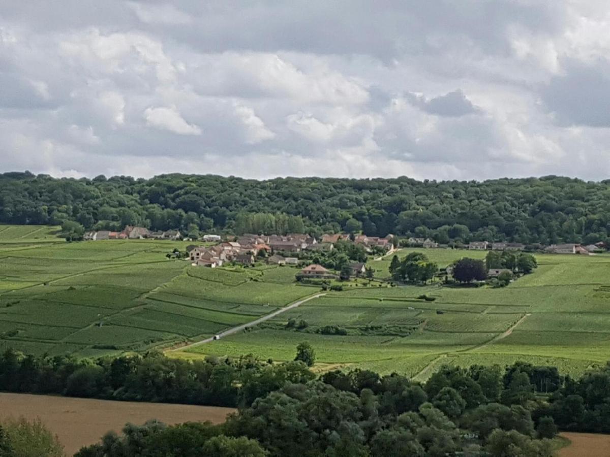 Le Domaine De L Etang Le Merger Oeuilly 외부 사진
