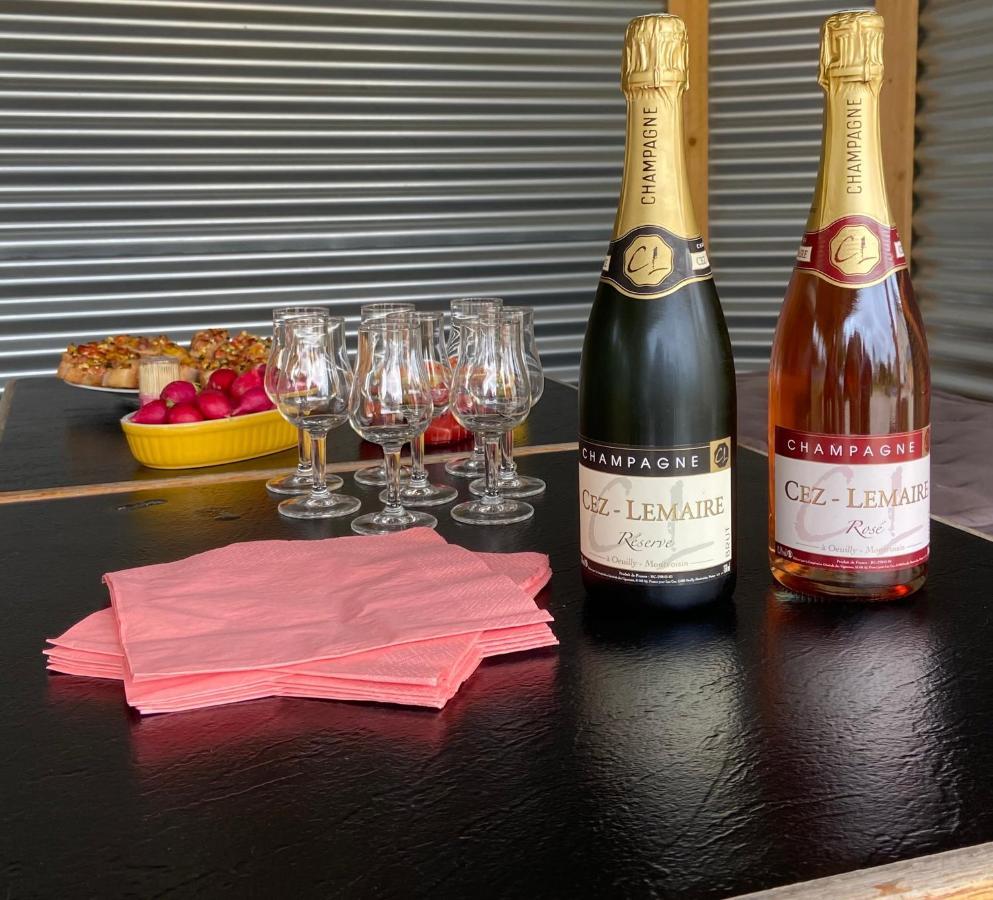 Le Domaine De L Etang Le Merger Oeuilly 외부 사진